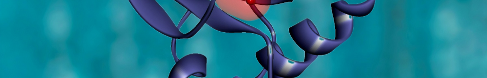 imagen de fondo para el banner